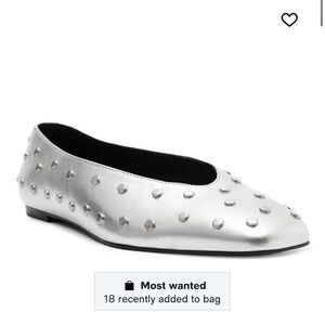 Arezzo Hayden Ballet Flats NWT